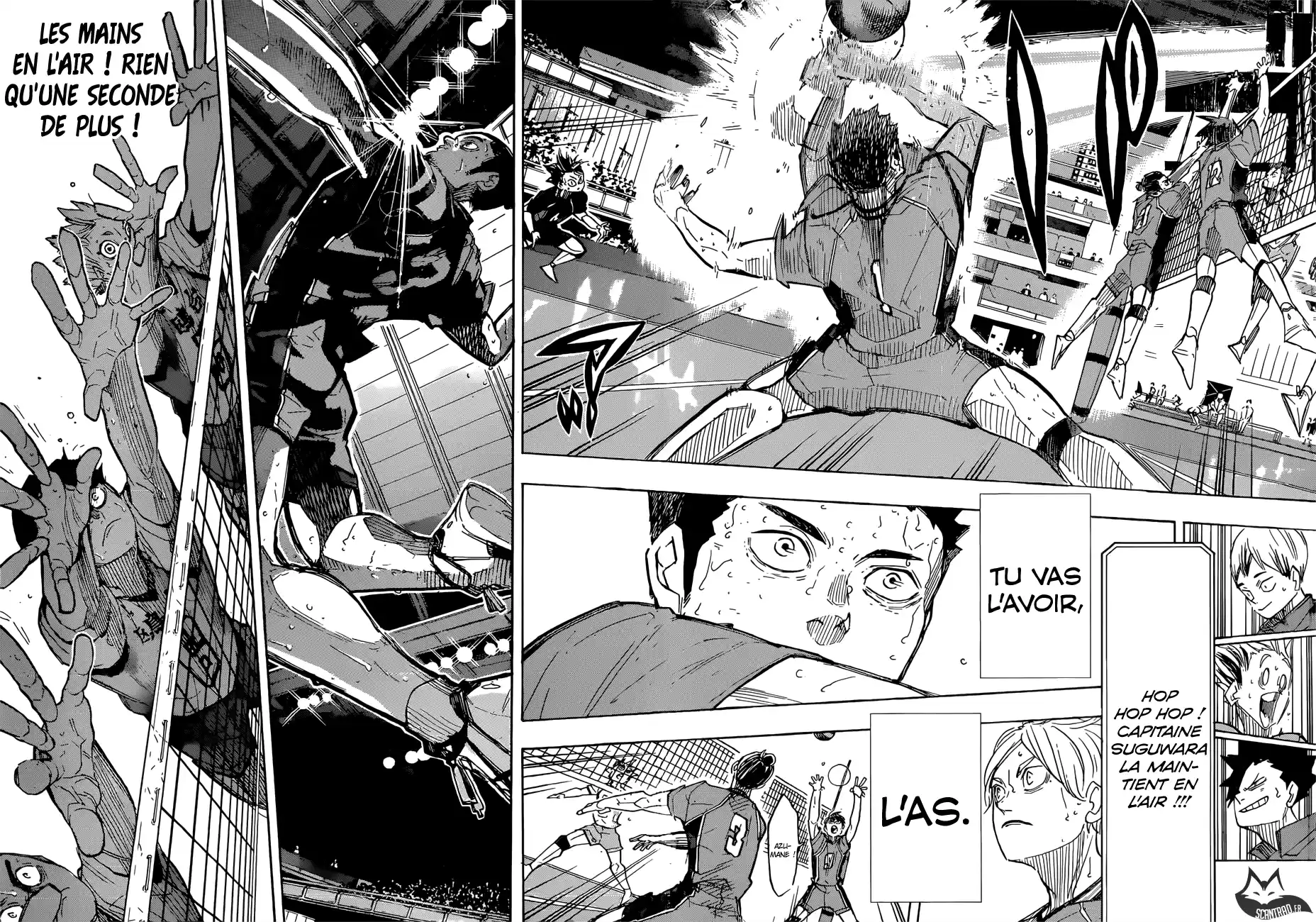 Read Haikyuu FR Manga Online