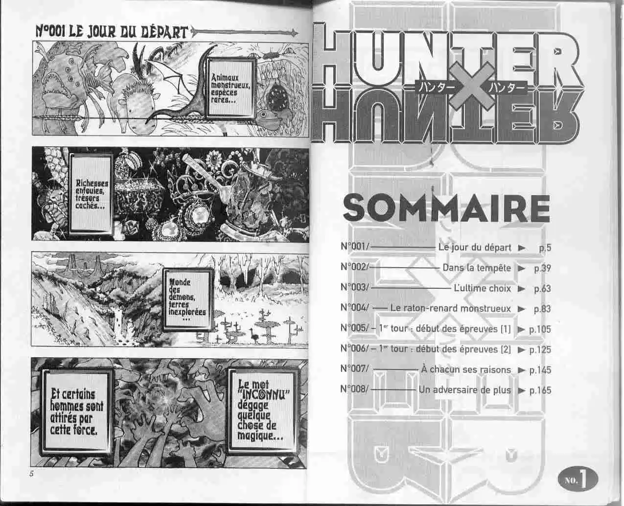 Read Hunter X Hunter FR Manga Online
