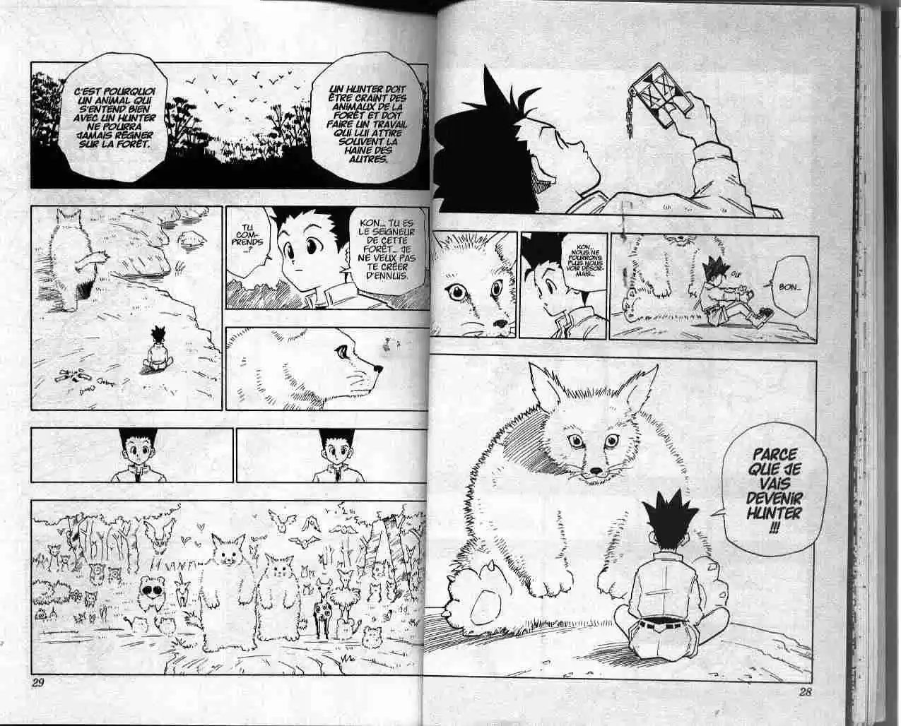 Read Hunter X Hunter FR Manga Online