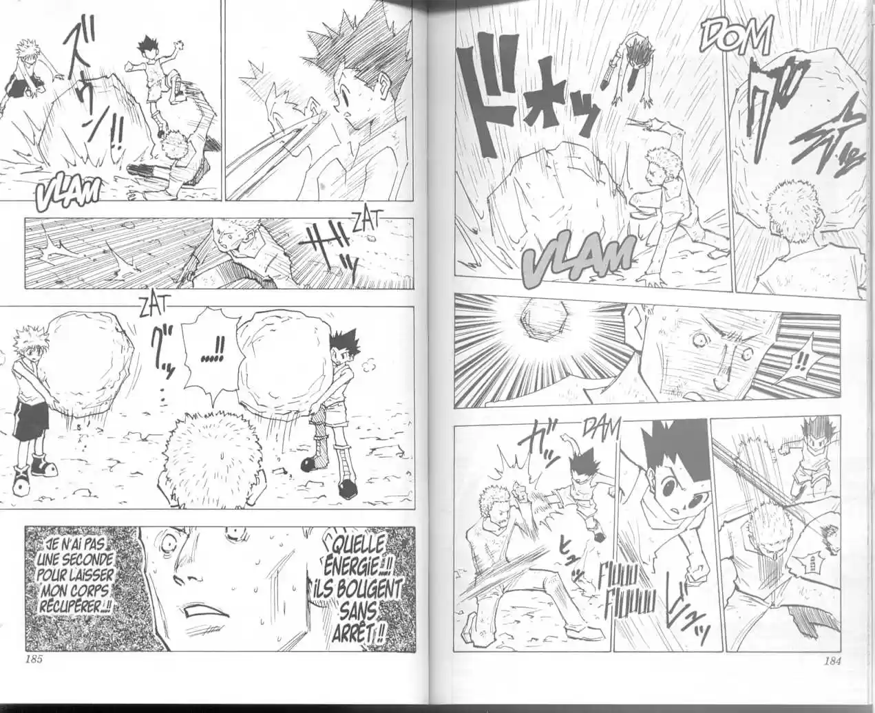 Read Hunter X Hunter FR Manga Online