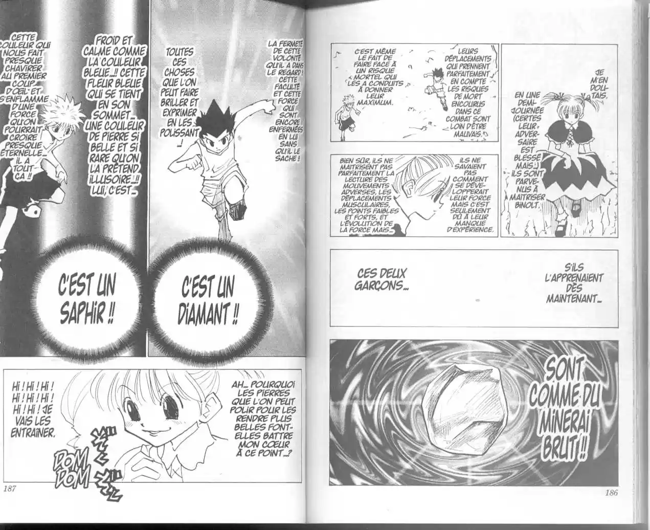 Read Hunter X Hunter FR Manga Online