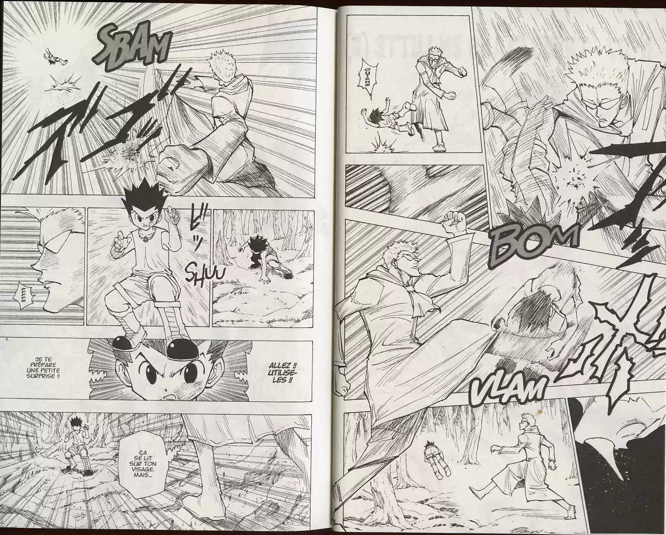 Read Hunter X Hunter FR Manga Online