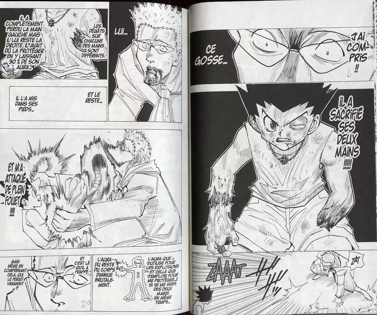 Read Hunter X Hunter FR Manga Online