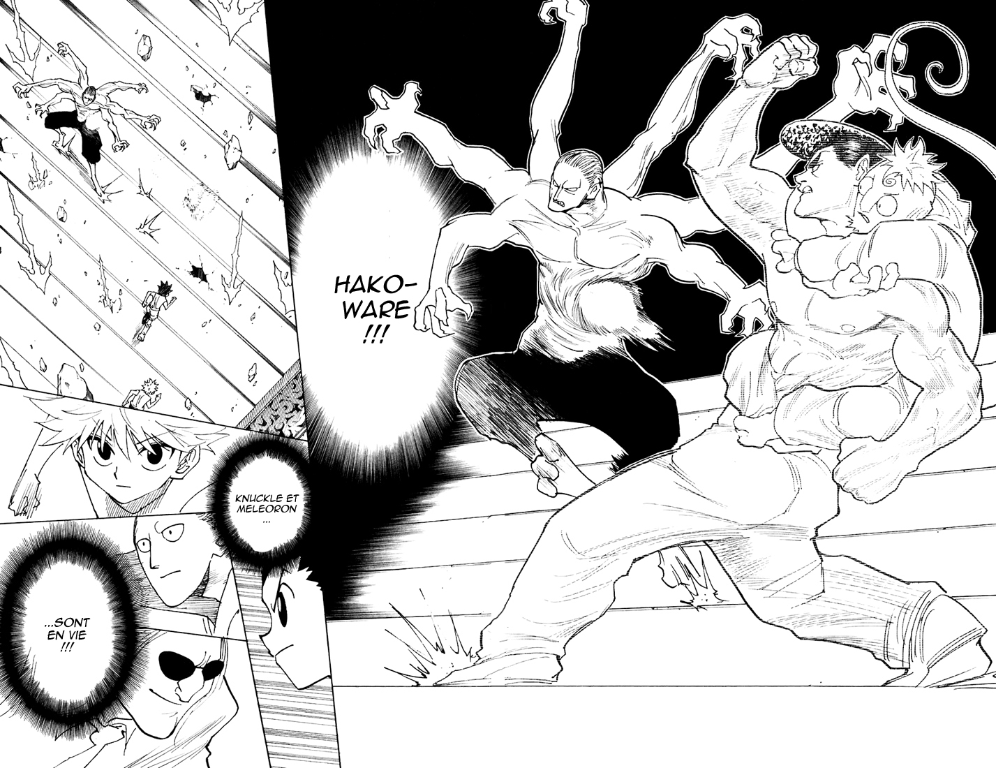 Read Hunter X Hunter FR Manga Online