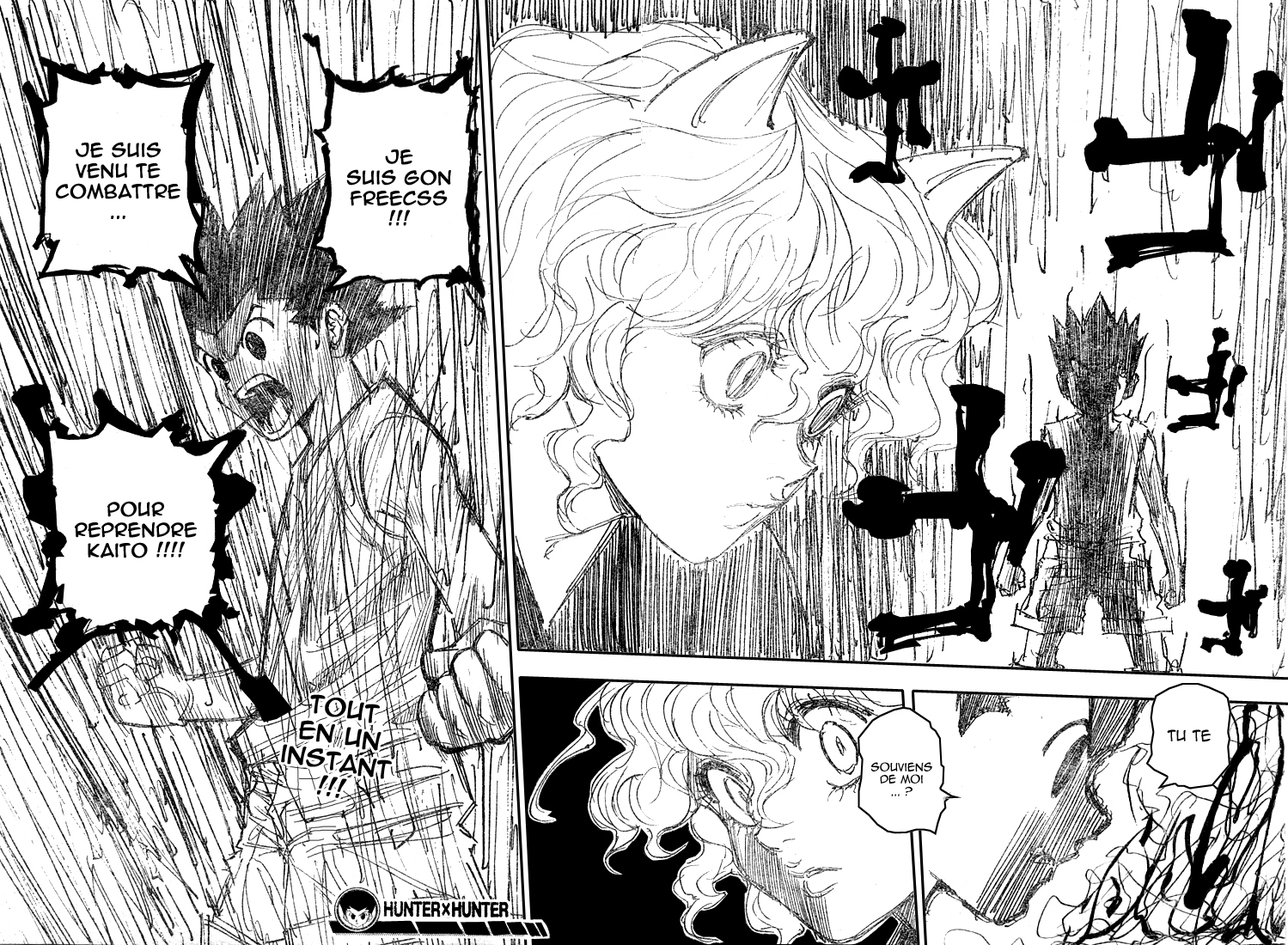 Read Hunter X Hunter FR Manga Online