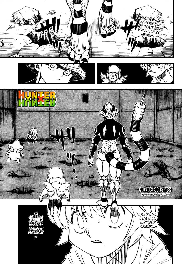 Read Hunter X Hunter FR Manga Online