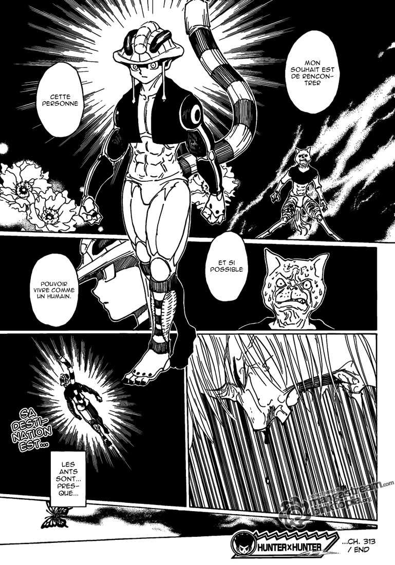 Read Hunter X Hunter FR Manga Online