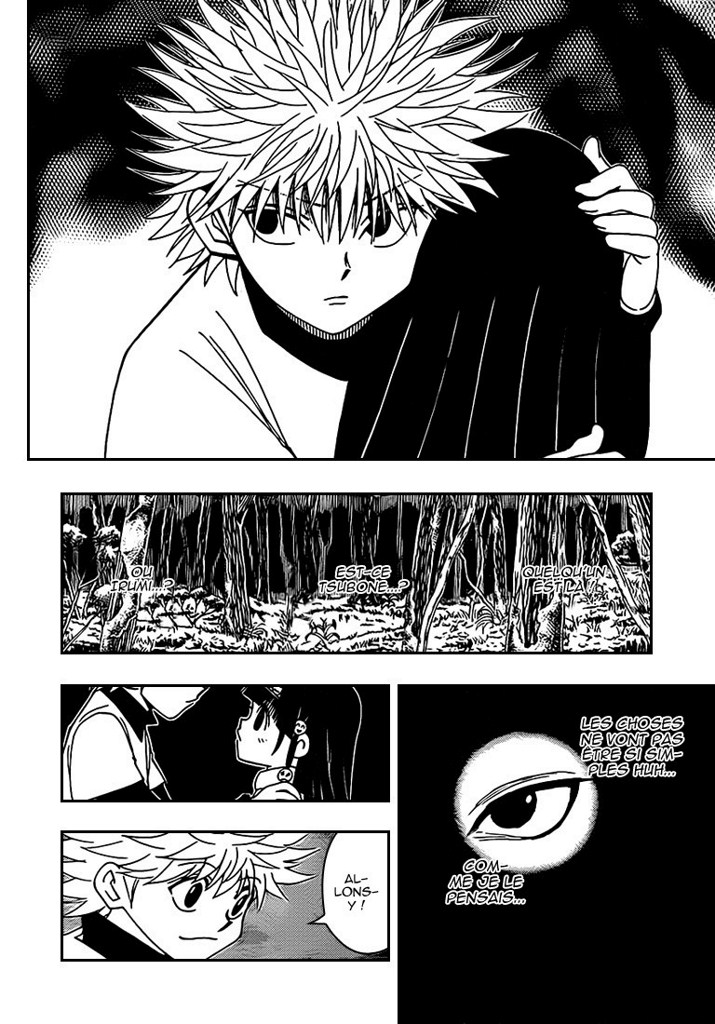 Read Hunter X Hunter FR Manga Online