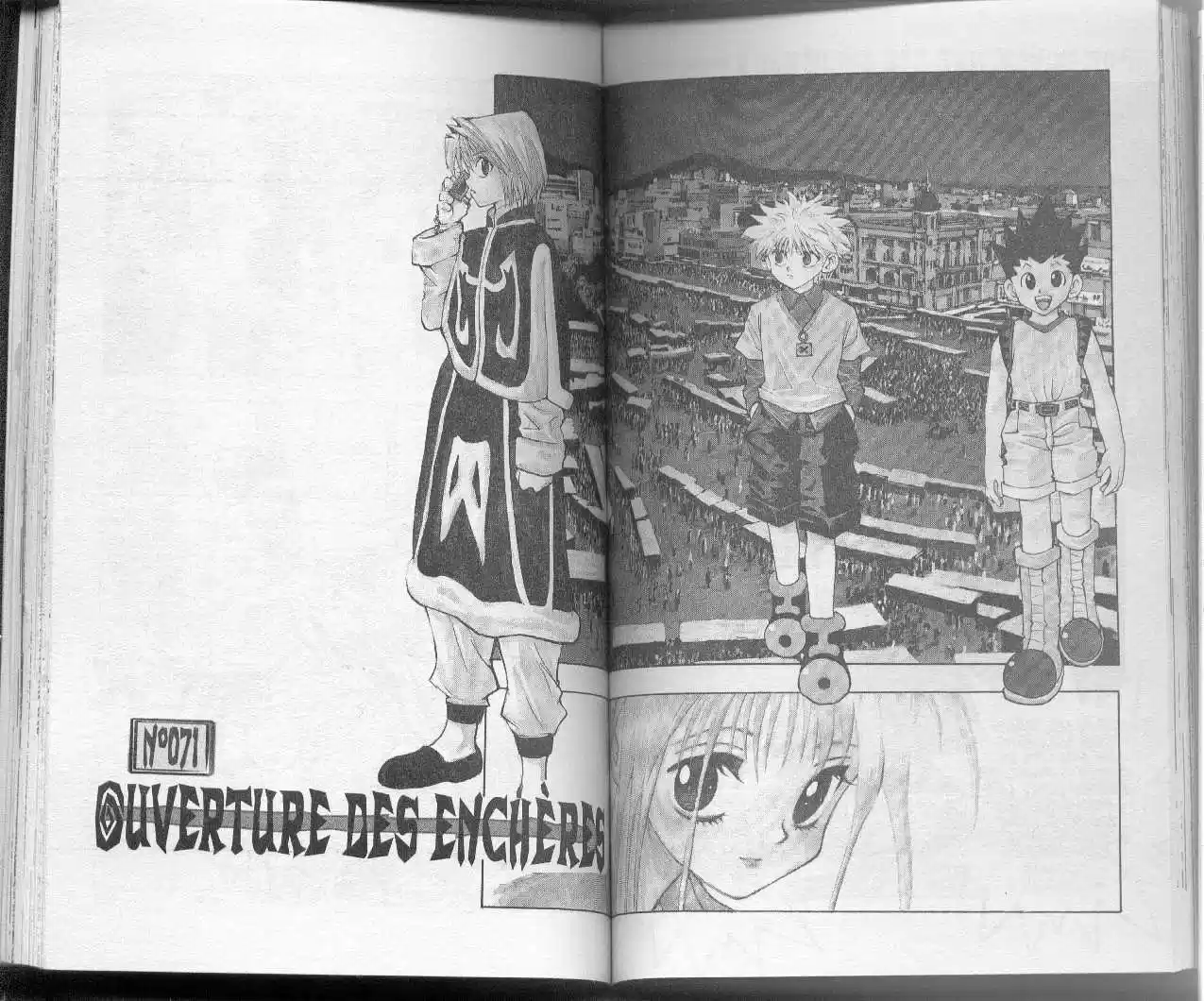 Read Hunter X Hunter FR Manga Online