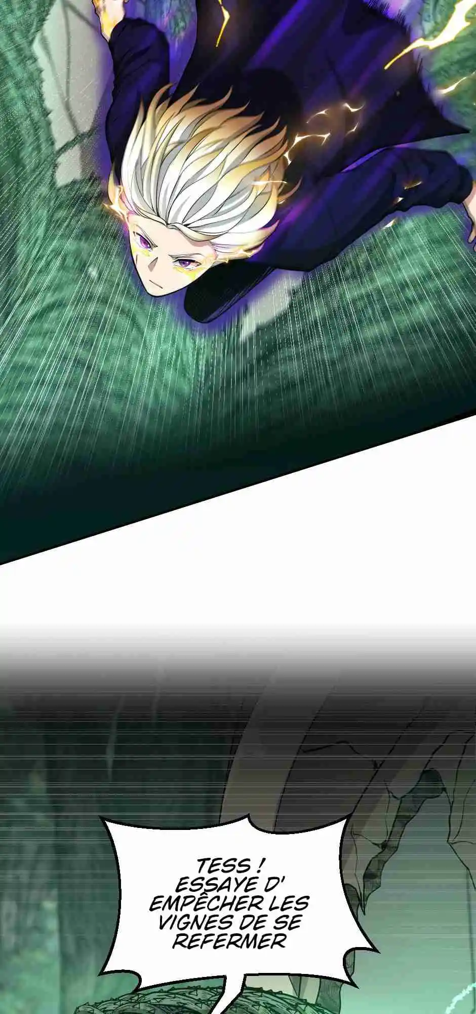 Read The Beginning After the End FR Manga Online