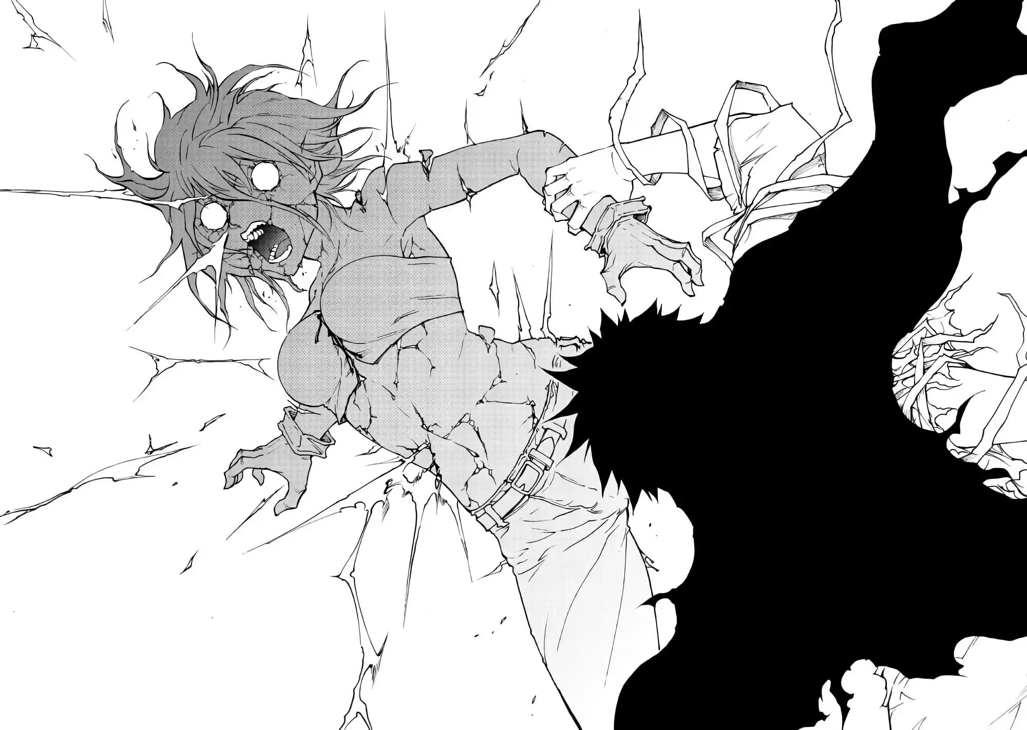 Read The Dungeon Seeker FR Manga Online