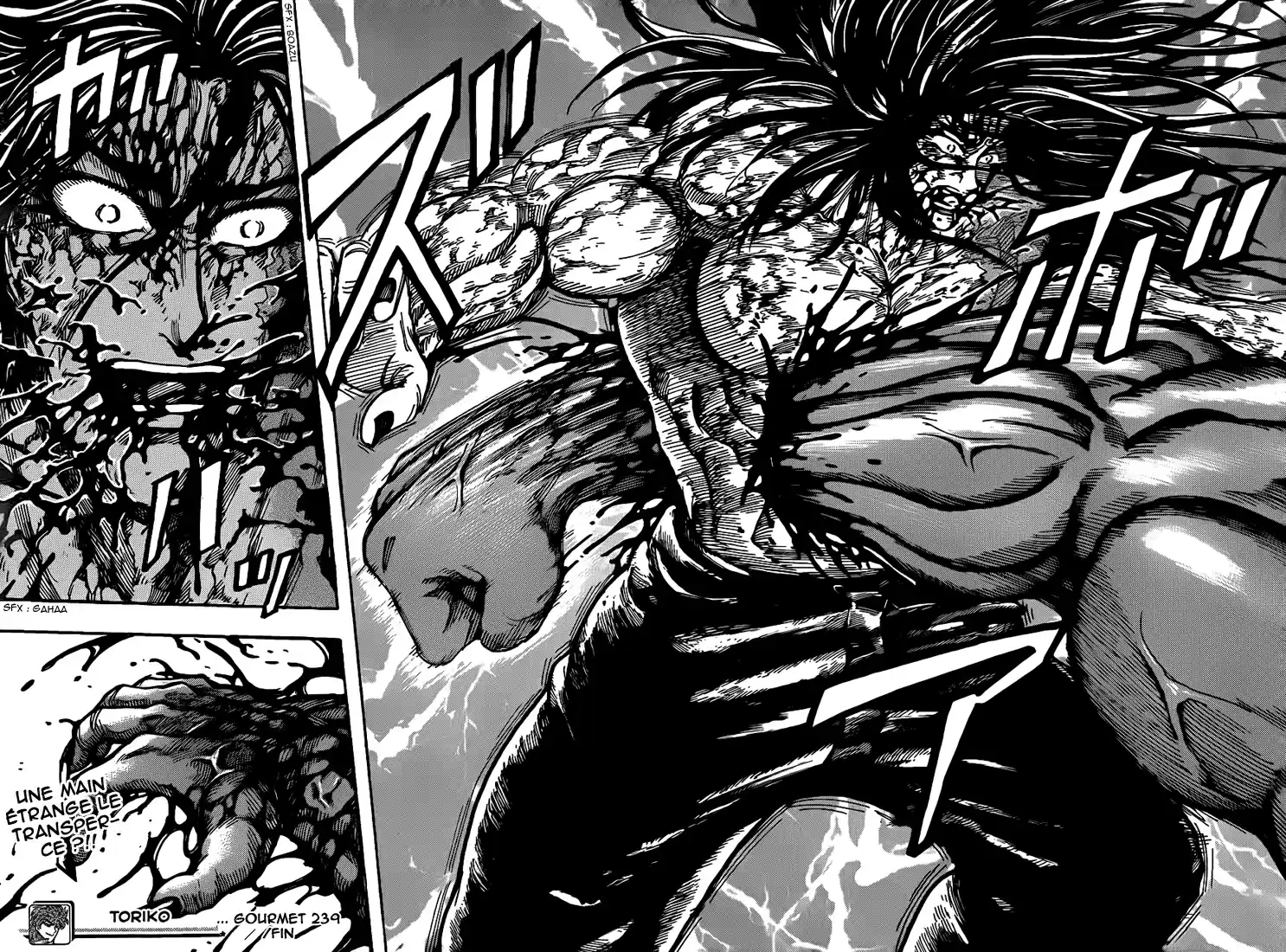 Read Toriko FR Manga Online