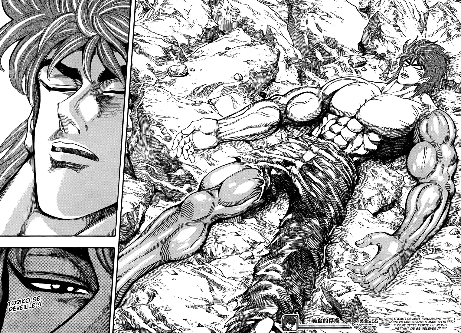 Read Toriko FR Manga Online
