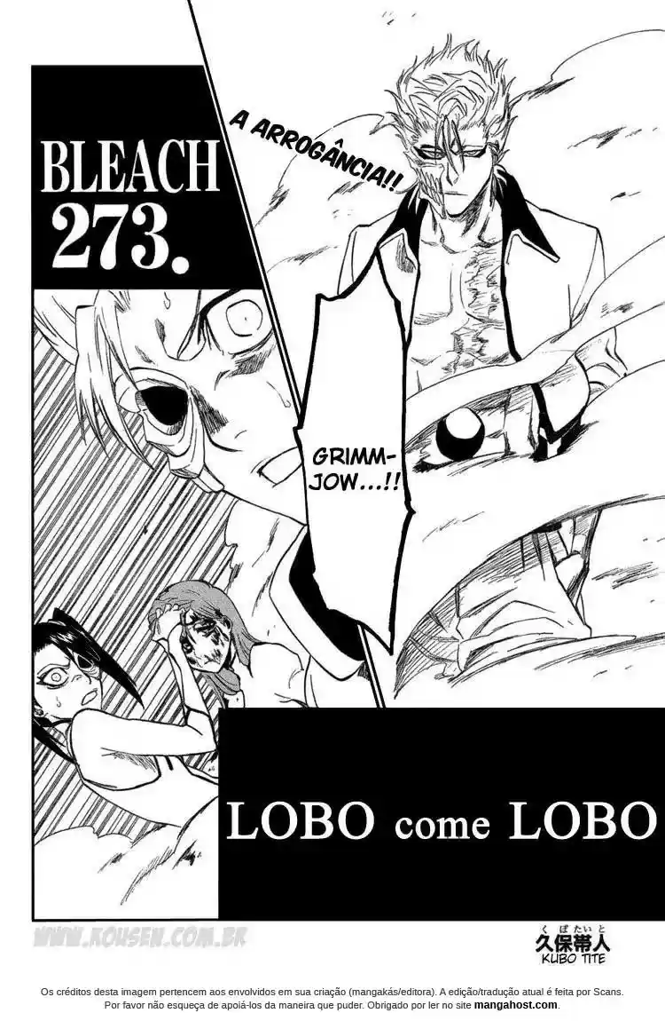 Read Bleach pt_BR Manga Online