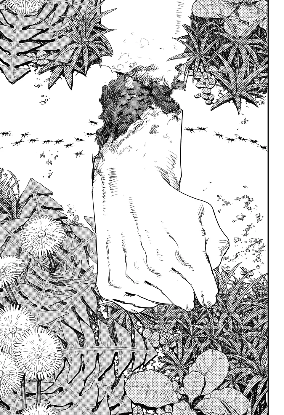Read Chainsaw Man pt_BR Manga Online