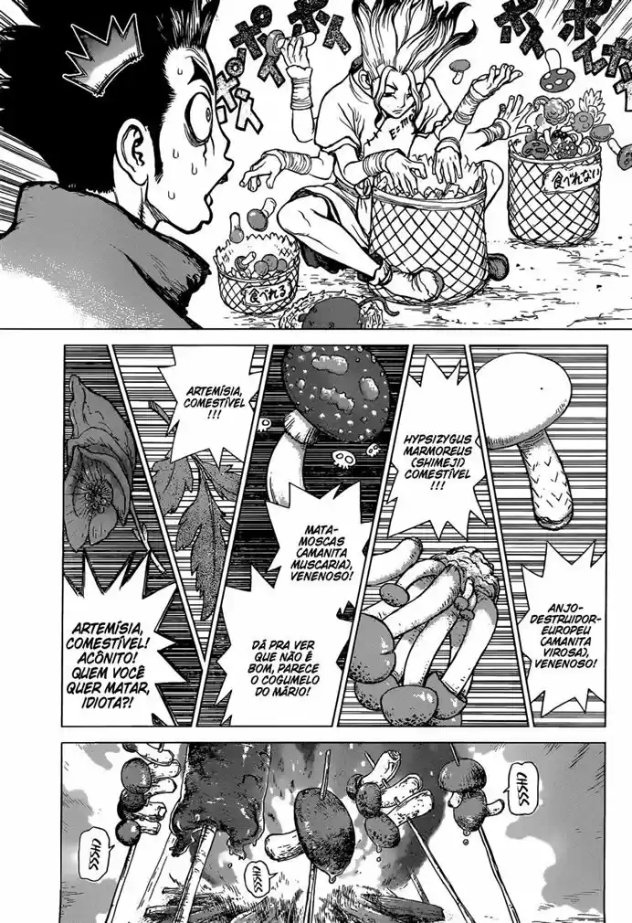 Read Dr. Stone pt_BR Manga Online