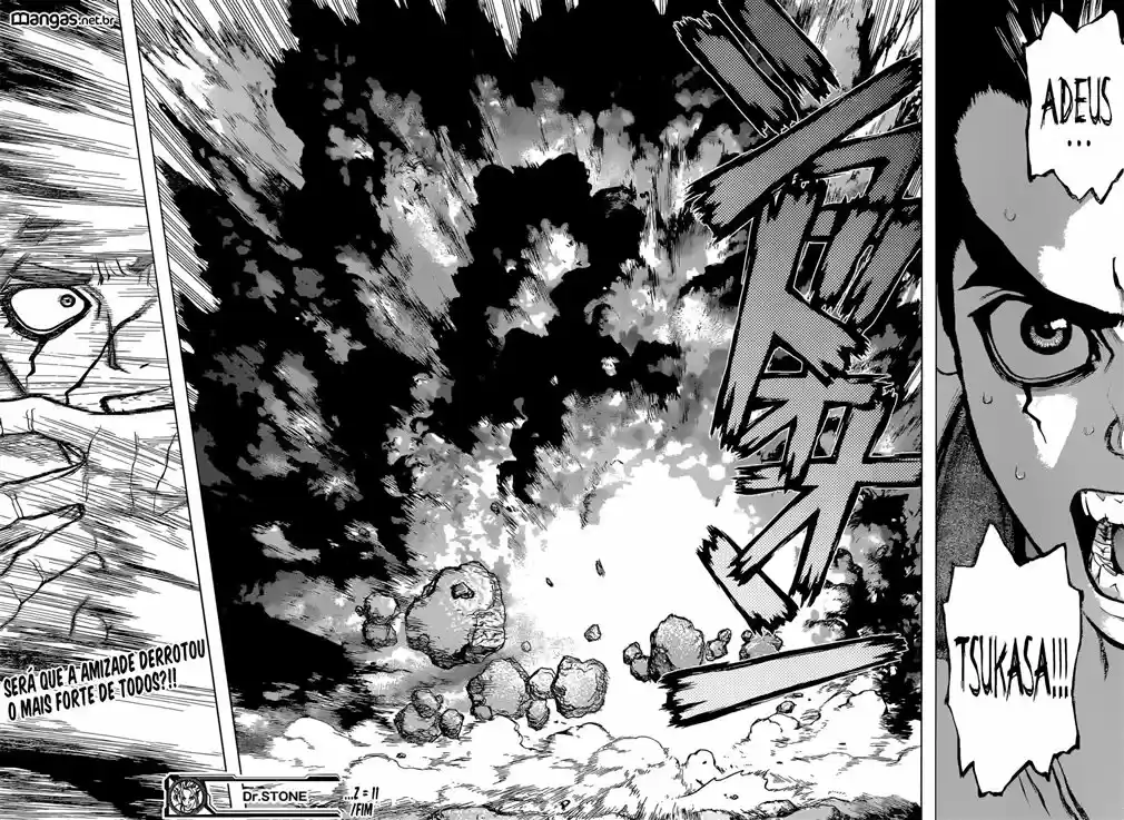 Read Dr. Stone pt_BR Manga Online