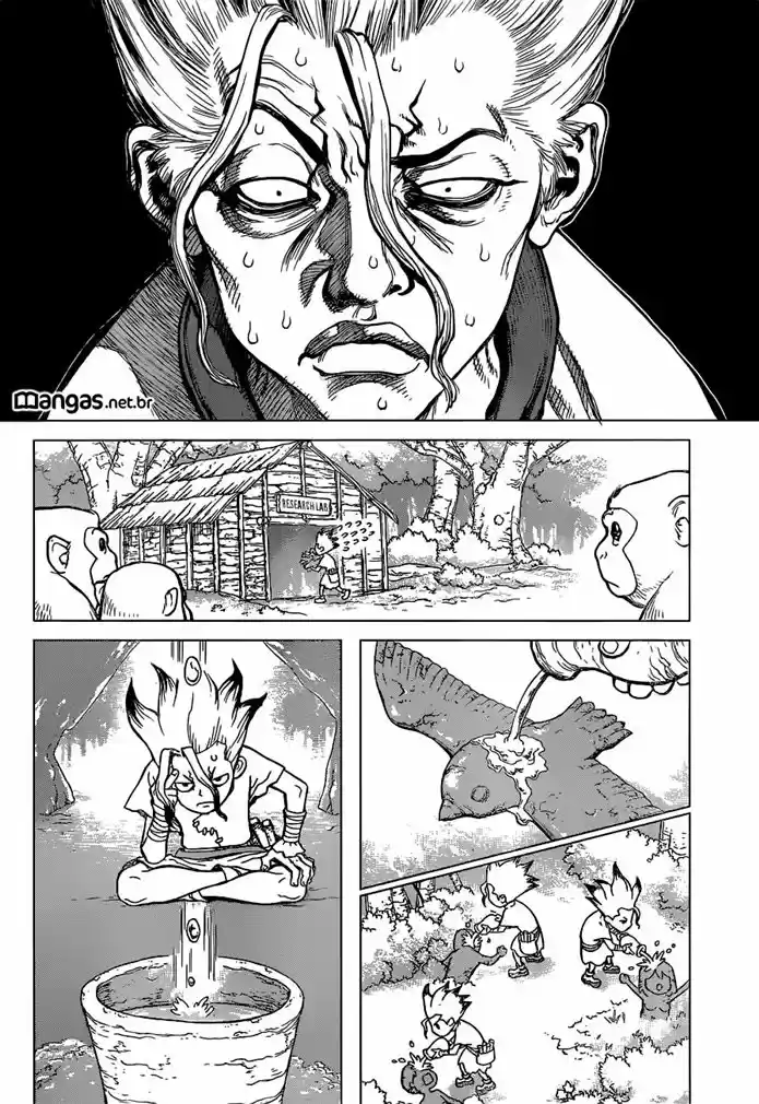 Read Dr. Stone pt_BR Manga Online