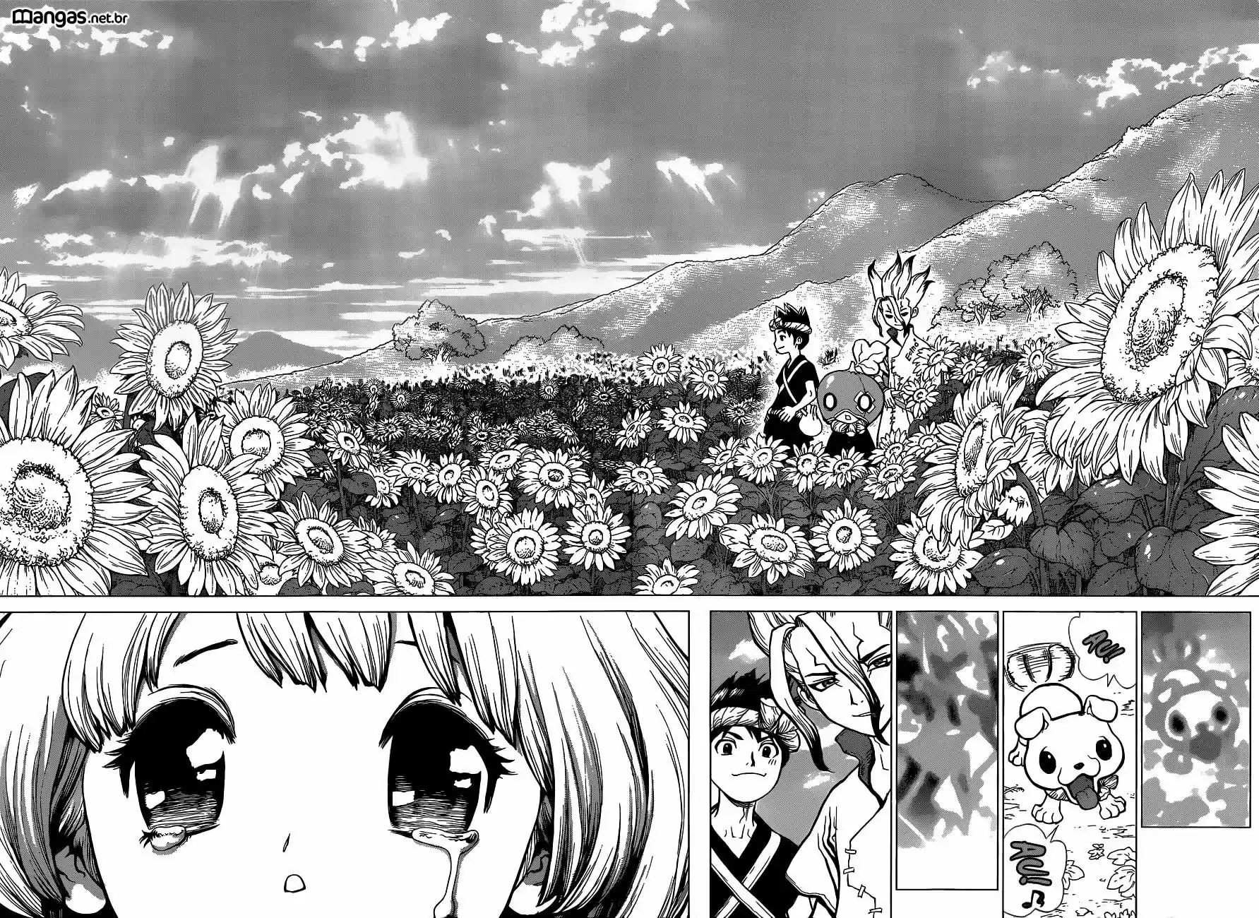 Read Dr. Stone pt_BR Manga Online