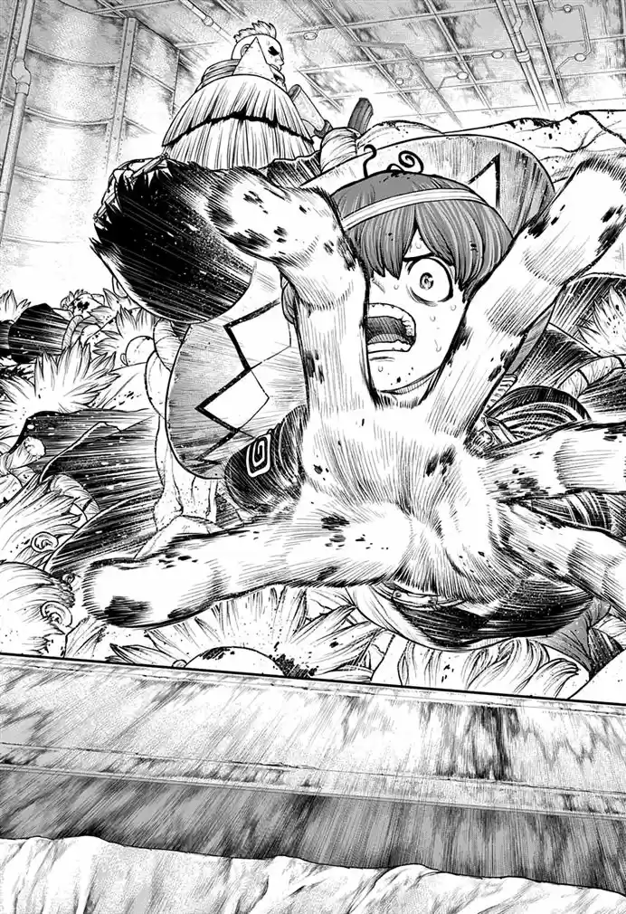 Read Dr. Stone pt_BR Manga Online
